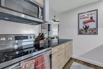 30-34 E Concord St #11, Boston, MA 02118 - Photo 9