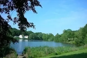 18 Lake Shore Terrace, Boston, MA 02135 - Photo 11