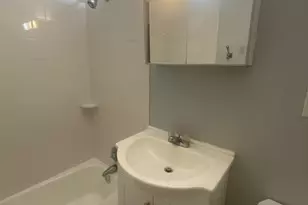 44 Maple St, Boston, MA 02136 - Photo 19