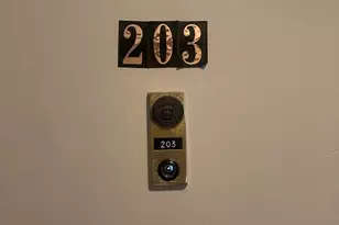 44 Maple St, Boston, MA 02136 - Photo 25