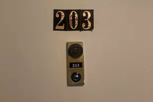 44 Maple St, Boston, MA 02136 - Photo 25