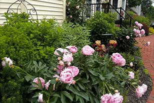 1 E Wood St, Milford, MA 01757 - Photo 21
