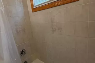 15 Holden St, Boston, MA 02125 - Photo 9