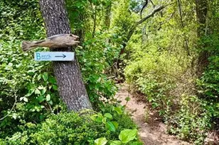 65 Pilgrims Path, Eastham, MA 02642 - Photo 39