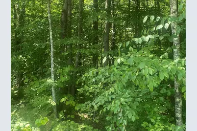 Tract 7 Delargy Rd, Hardwick, MA 01037 - Photo 11