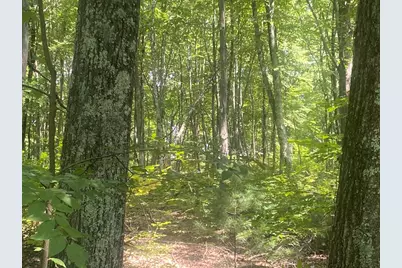 Tract 7 Delargy Rd, Hardwick, MA 01037 - Photo 13