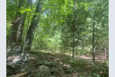 Tract 7 Delargy Rd, Hardwick, MA 01037 - Photo 11