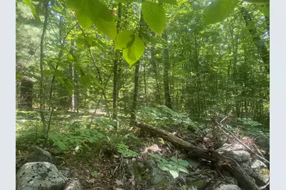 Tract 7 Delargy Rd, Hardwick, MA 01037 - Photo 15