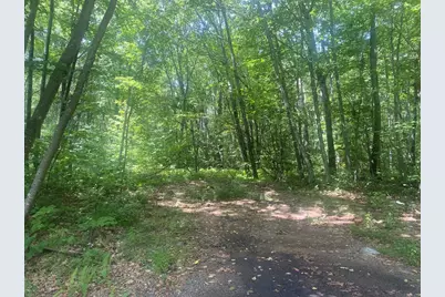 Tract 7 Delargy Rd, Hardwick, MA 01037 - Photo 5