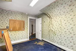 16 Holmfield Ave, Boston, MA 02136 - Photo 21