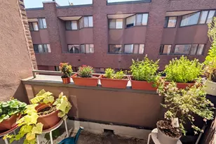 147 Kelton St, Boston, MA 02134 - Photo 3