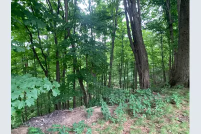 0 Chestnut Plain Rd (Ws), Whately, MA 01093 - Photo 3
