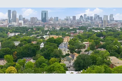71 Walnut Park, Boston, MA 02119 - Photo 19