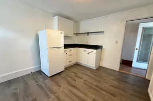 29 Woodrow Ave, Newton, MA 02460 - Photo 23