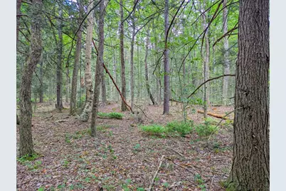 0 Hamilton Rd, Becket, MA 01223 - Photo 9