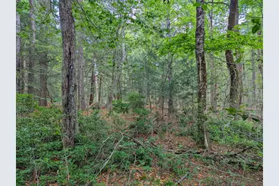 0 Hamilton Rd, Becket, MA 01223 - Photo 5