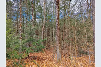 0 Bonny Rigg Hill Rd, Becket, MA 01223 - Photo 7