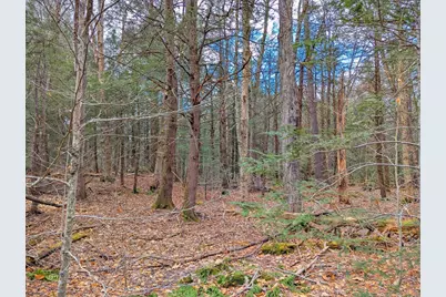 0 Bonny Rigg Hill Rd, Becket, MA 01223 - Photo 9