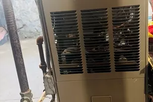 193 Perkins Ave, Brockton, MA 02302 - Photo 25
