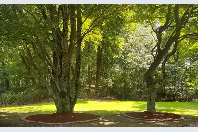 5 Carbrey Avenue, Sharon, MA 02067 - Photo 41