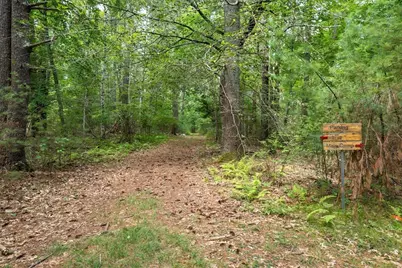 0 Snows Pond Rd, Rochester, MA 02770 - Photo 15