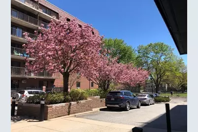 135 Pleasant St #307, Brookline, MA 02446 - Photo 17