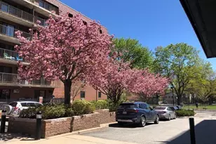 135 Pleasant St, Brookline, MA 02446 - Photo 17