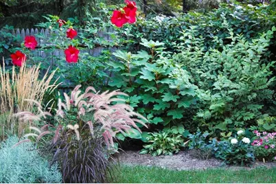71 Addington Rd, Brookline, MA 02445 - Photo 39