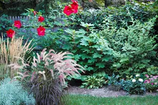71 Addington Rd, Brookline, MA 02445 - Photo 39