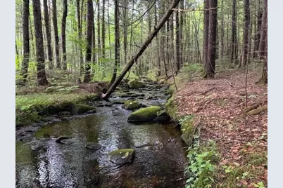 Lot 121 Davis Mine Rd, Rowe, MA 01367 - Photo 3