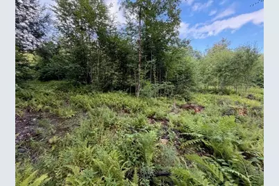 Lot 121 Davis Mine Rd, Rowe, MA 01367 - Photo 17