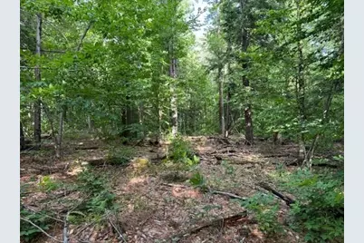 Lot 121 Davis Mine Rd, Rowe, MA 01367 - Photo 7