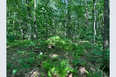 Lot 121 Davis Mine Rd, Rowe, MA 01367 - Photo 9