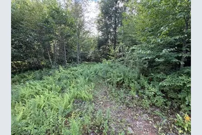 Lot 121 Davis Mine Rd, Rowe, MA 01367 - Photo 15