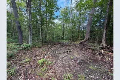 Lot 121 Davis Mine Rd, Rowe, MA 01367 - Photo 11