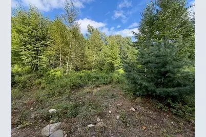 Lot 121 Davis Mine Rd, Rowe, MA 01367 - Photo 13