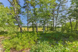 56 Warren Rd, Wellfleet, MA 02667 - Photo 27