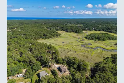 56 Warren Road, Wellfleet, MA 02667 - Photo 41