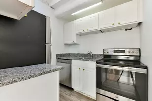 99 W Springfield St, Boston, MA 02118 - Photo 5