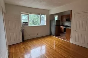 114 Amory St, Boston, MA 02119 - Photo 3
