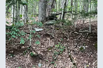 Lot 134 Shaw Rd, Windsor, MA 01270 - Photo 9