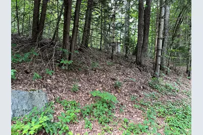 Lot 134 Shaw Rd, Windsor, MA 01270 - Photo 5