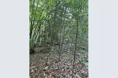 Lot 134 Shaw Rd, Windsor, MA 01270 - Photo 17