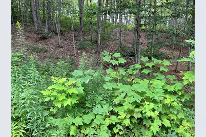 Lot 134 Shaw Rd, Windsor, MA 01270 - Photo 3