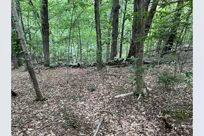 Lot 134 Shaw Rd, Windsor, MA 01270 - Photo 11