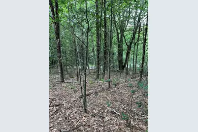 Lot 134 Shaw Rd, Windsor, MA 01270 - Photo 15