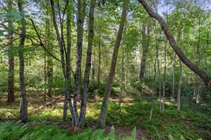 133 Highland St, Easton, MA 02375 - Photo 33