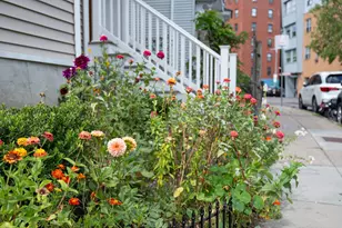 5 Wise St, Boston, MA 02130 - Photo 3