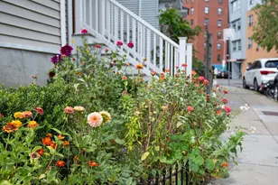 5 Wise St, Boston, MA 02130 - Photo 3
