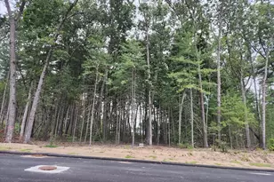 Lot 20 Nathaniel Hill, Westfield, MA 01085 - Photo 1